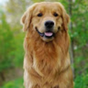 Meet your Posher, Cc